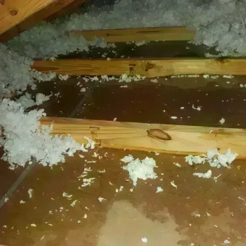 Attic Water Damage in Lake Mohegan, NY