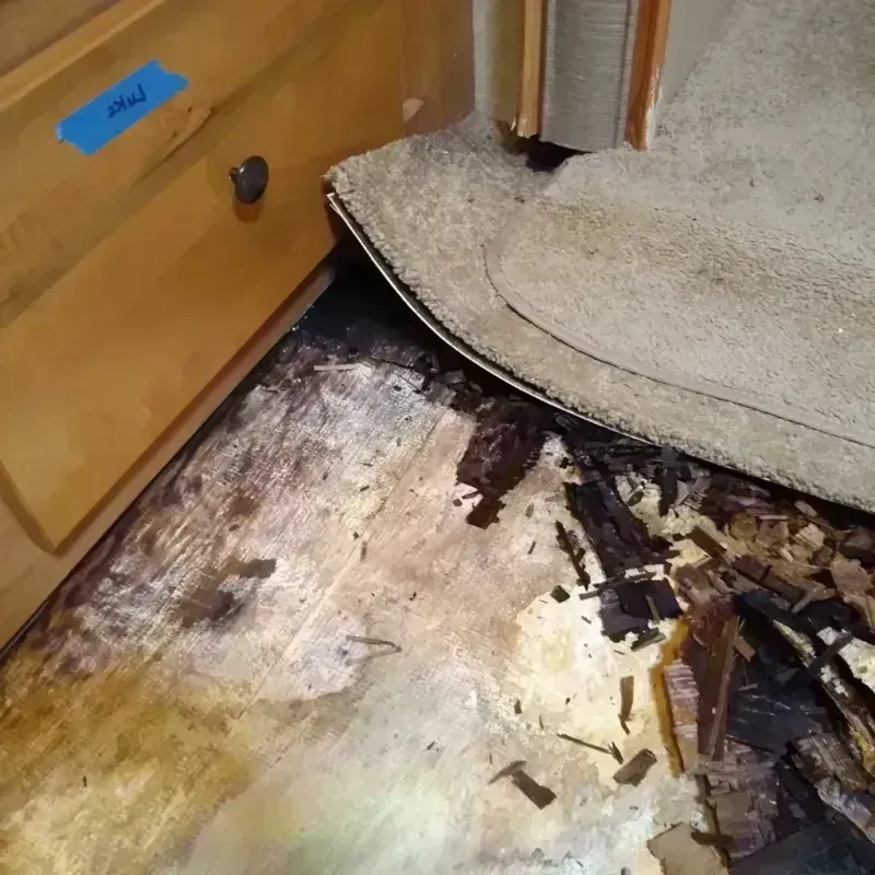 Best Wood Floor Water Damage Service in Lake Mohegan, NY